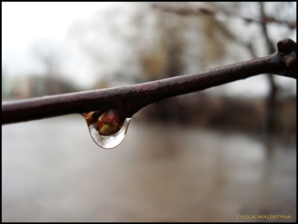 Фотовиставка Валентини Жуги